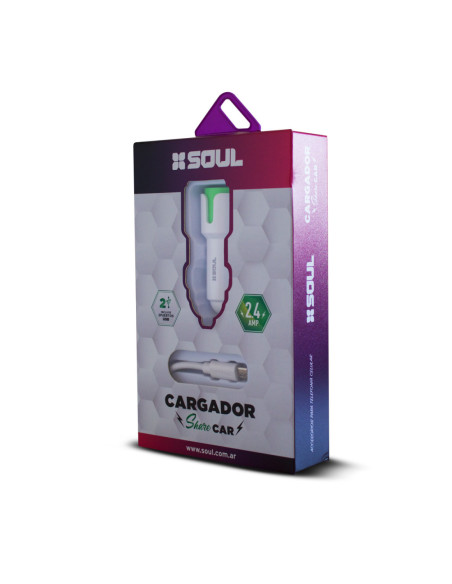 Cargador 12v ShareCar 2.4A Type-C Verde