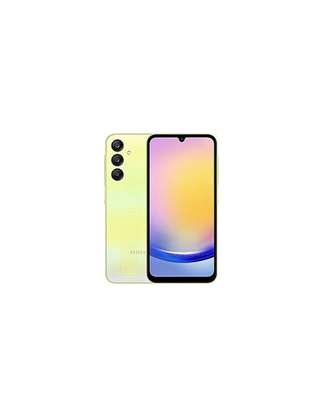 Samsung A25 (A256)
